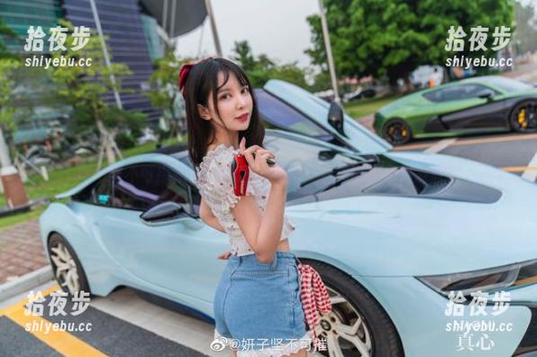 妍子坚不可摧姐姐的灵感写真集，下载也许会引发联想