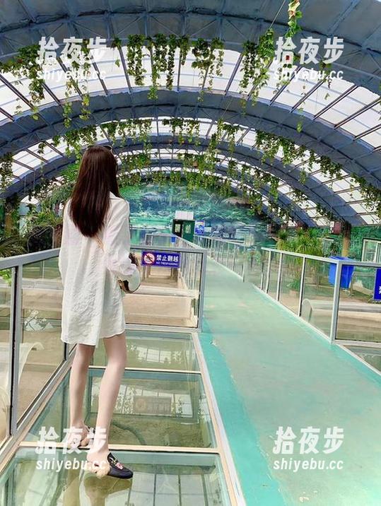 微密圈 - 看了林子琳喵的奶牛写真，壁纸也得忧伤地默哀一秒。