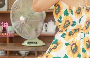 梦丝女神 – 比基尼作品集：别让灵唯的光芒晃到你眼！